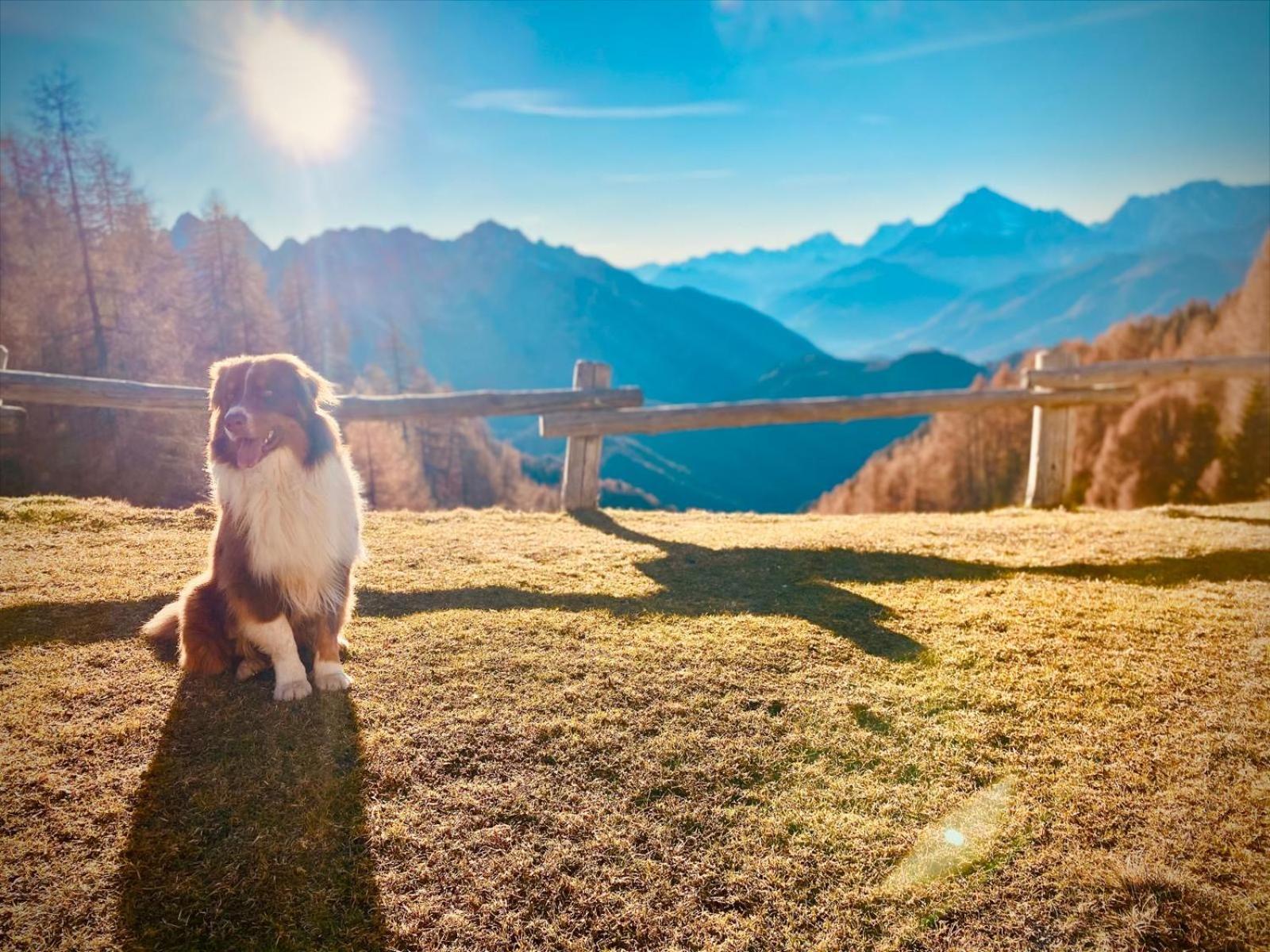 Сasa de vacaciones La Vigo di Cadore