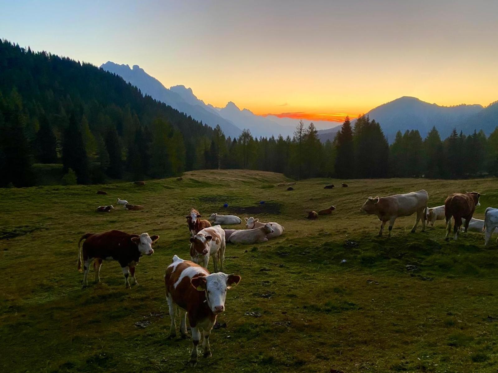 Casa de Férias La Vigo di Cadore